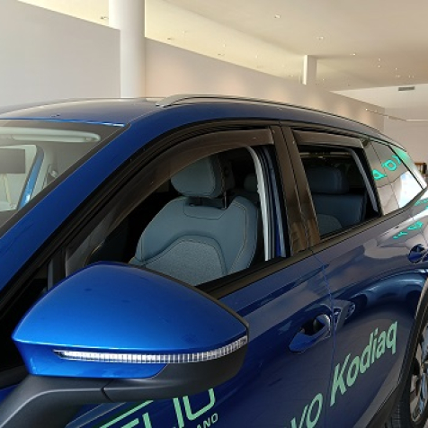 Wind deflectors for front and rear doors