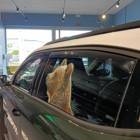 Kit deflettori anteriori + posteriori