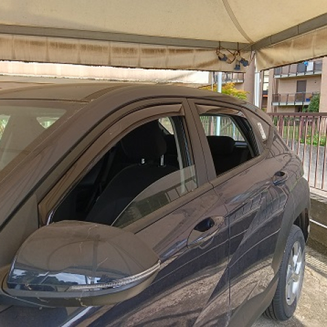 Wind deflectors for front and rear doors