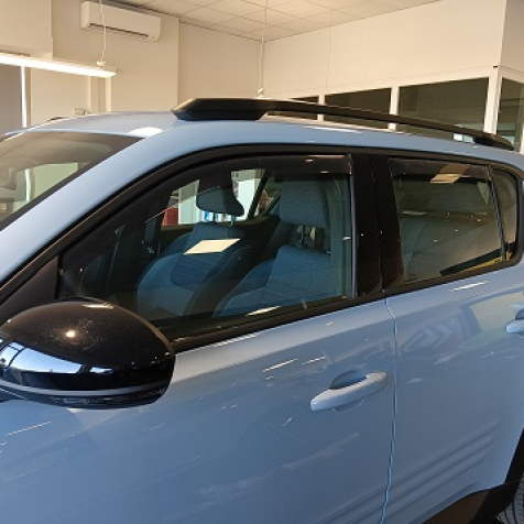 Wind deflectors for front and rear doors