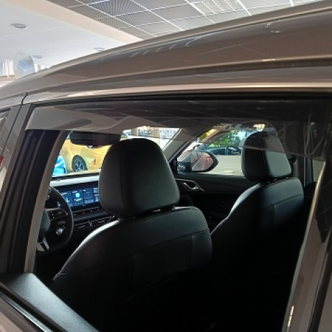 Wind deflectors for front and rear doors